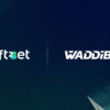soft2bet waddibet