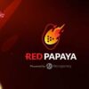 Red Papaya Revolutionizes Slots Development